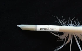 נוצה קרמית